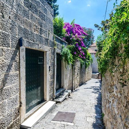 Apartments Paula Dubrovnik Kültér fotó