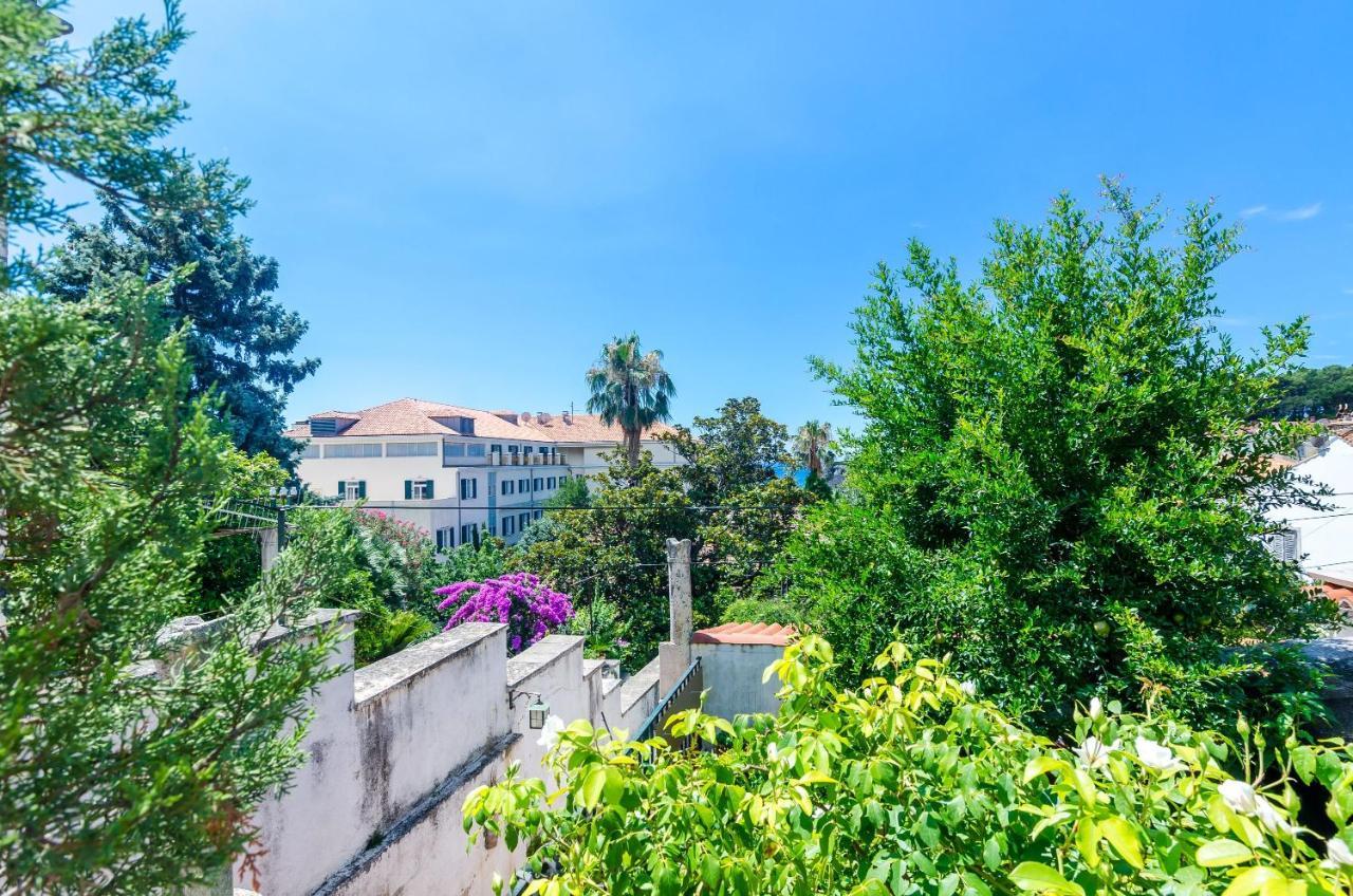 Apartments Paula Dubrovnik Kültér fotó