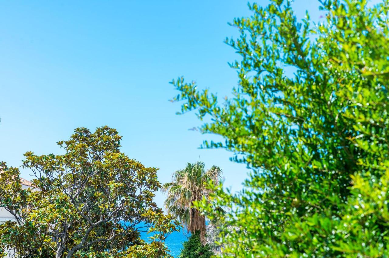 Apartments Paula Dubrovnik Kültér fotó